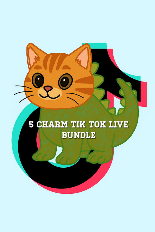 5 charm tik tok live bundle